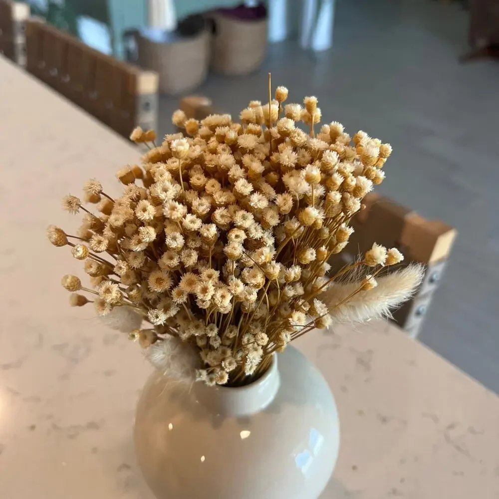 Vase and dried florals